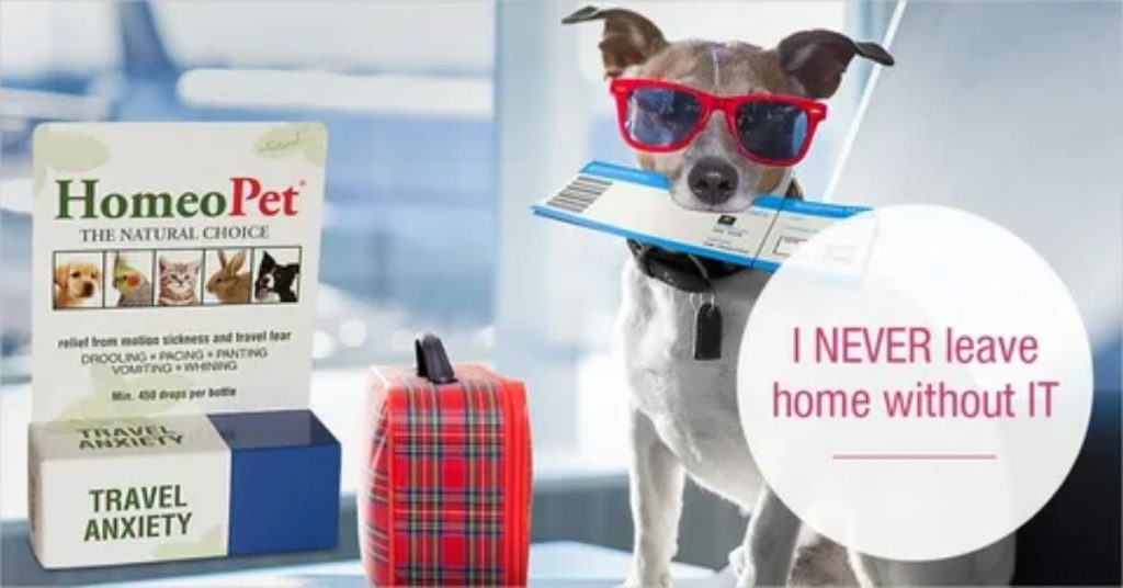 homeopet travel anxiety