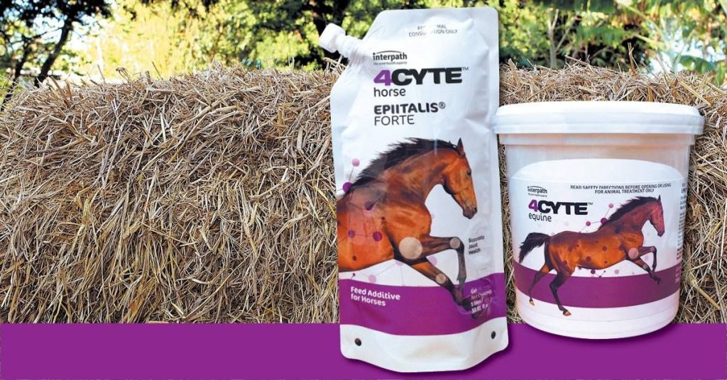 horse anxiety medication